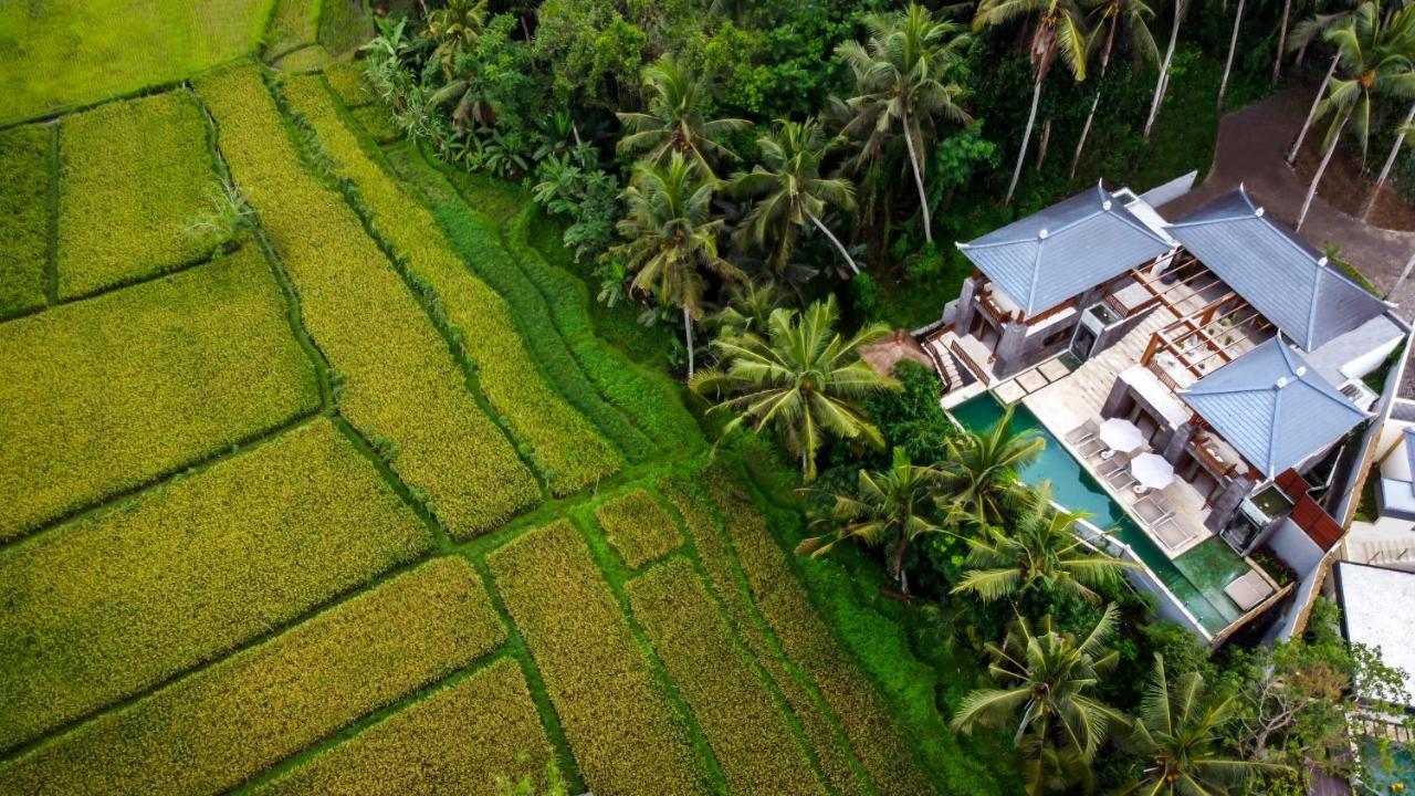 Villa Nalaya By Balisuperhost Ubud Zewnętrze zdjęcie